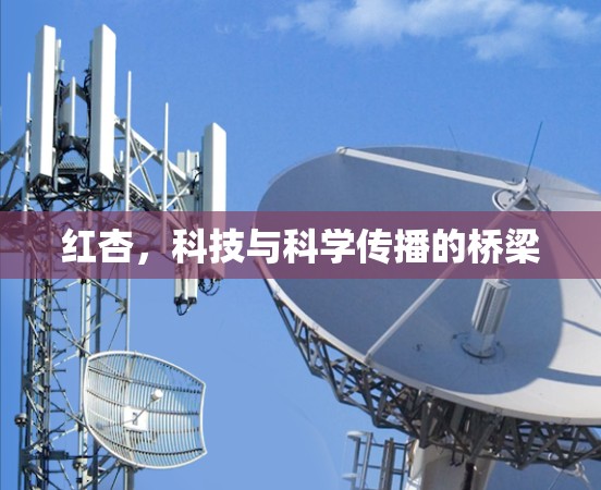 红杏，科技与科学传播的桥梁