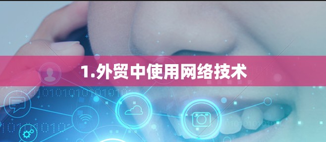 1.外贸中使用网络技术