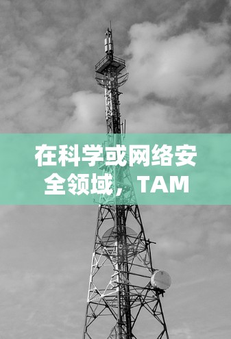 在科学或网络安全领域，TAM可能被用来描述一种特定类型的网络攻击者，即那些通过模仿或欺骗手段破坏网络设备，从而达到攻击的目的