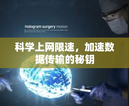 科学上网限速，加速数据传输的秘钥