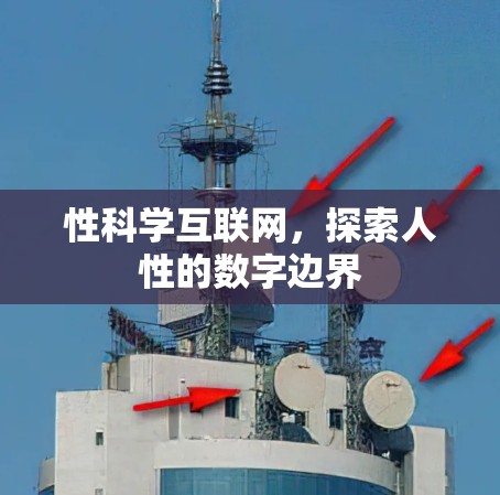 性科学互联网，探索人性的数字边界
