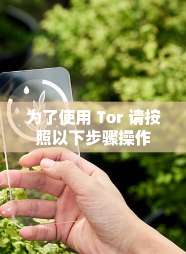 为了使用 Tor 请按照以下步骤操作