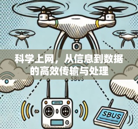 科学上网，从信息到数据的高效传输与处理
