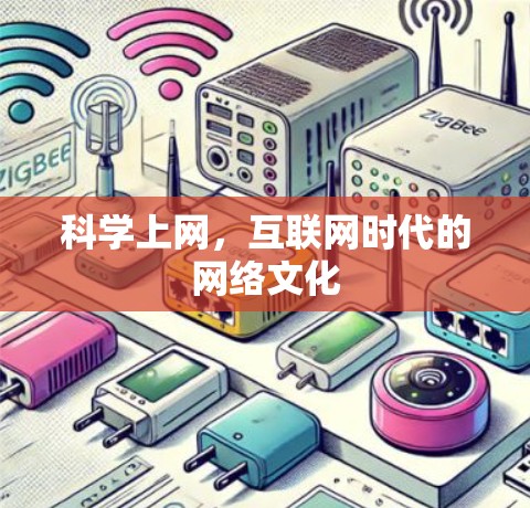 科学上网，互联网时代的网络文化