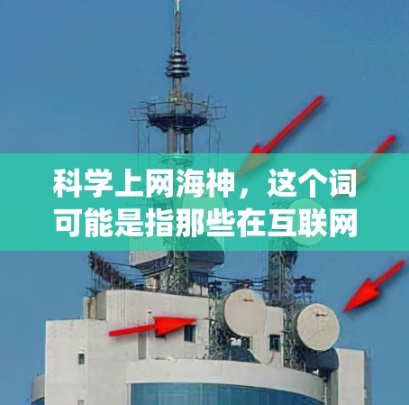 科学上网海神，这个词可能是指那些在互联网上对科学领域有特殊贡献的人或机构。在科学界，这样的人物常常通过各种 platforms发表观点，提出新的科学思想或研究成果。以下是一些可能属于科学上网海神的人