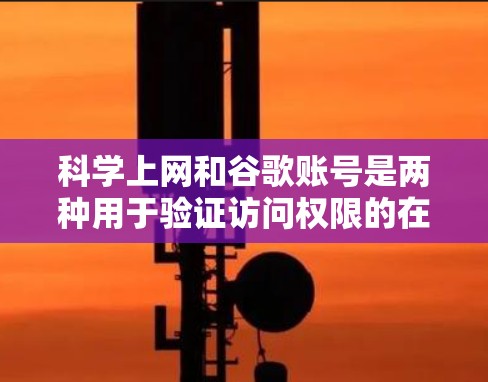 科学上网和谷歌账号是两种用于验证访问权限的在线工具，各有其独特性。以下是对这两种工具的详细说明和步骤