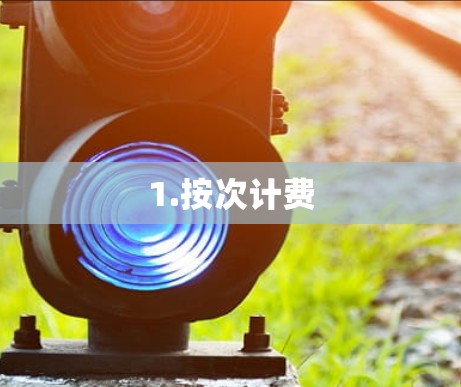 1.按次计费