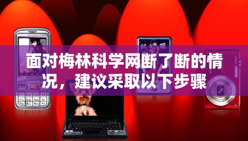 面对梅林科学网断了断的情况，建议采取以下步骤