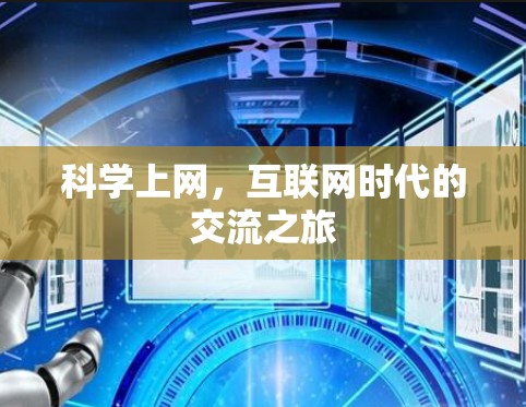 科学上网，互联网时代的交流之旅