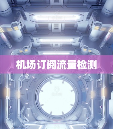 机场订阅流量检测