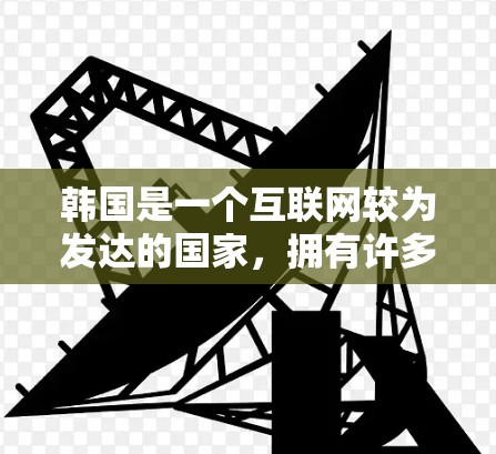 韩国是一个互联网较为发达的国家，拥有许多知名的VPN服务提供商，这些公司通常在技术、服务和用户反馈等方面具有较高的声誉。以下是关于韩国VPN节点连接的一些信息