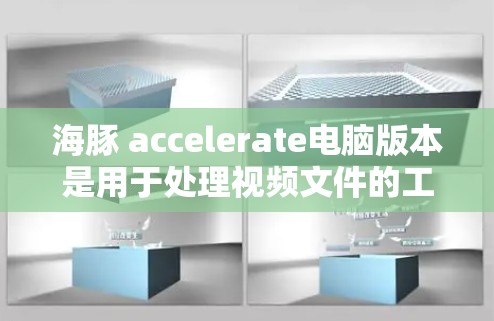 海豚 accelerate电脑版本是用于处理视频文件的工具，通常分为免费版和付费版，各有不同功能和适用场景。以下是详细的了解