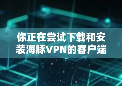 你正在尝试下载和安装海豚VPN的客户端，这是一个安全且专业的VPN服务。以下是按照步骤进行操作的指南