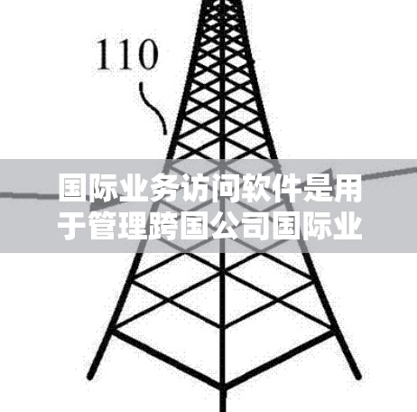 国际业务访问软件是用于管理跨国公司国际业务的工具，旨在实时监控和管理公司的跨国活动。以下是对这些软件的详细总结
