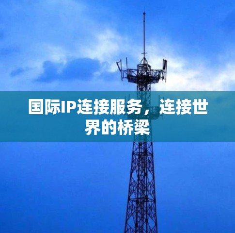 国际IP连接服务，连接世界的桥梁