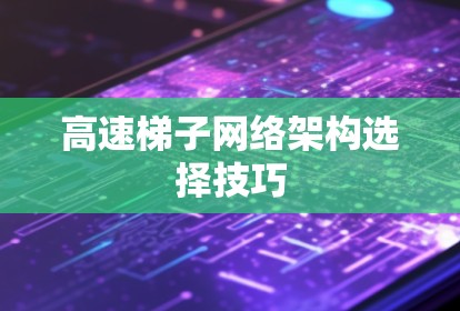 高速梯子网络架构选择技巧