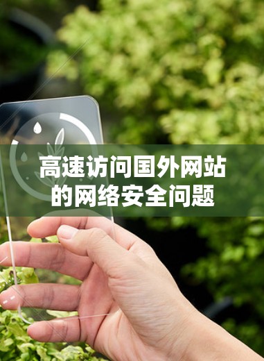 高速访问国外网站的网络安全问题