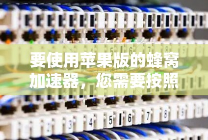 要使用苹果版的蜂窝加速器，您需要按照以下步骤操作