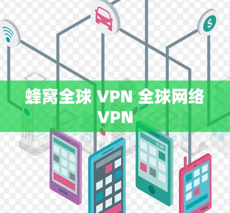 蜂窝全球 VPN 全球网络VPN