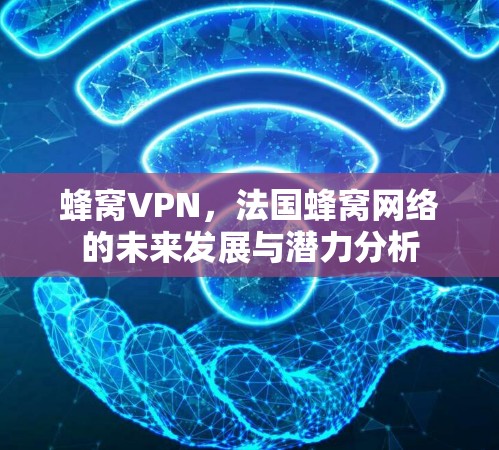 蜂窝VPN，法国蜂窝网络的未来发展与潜力分析
