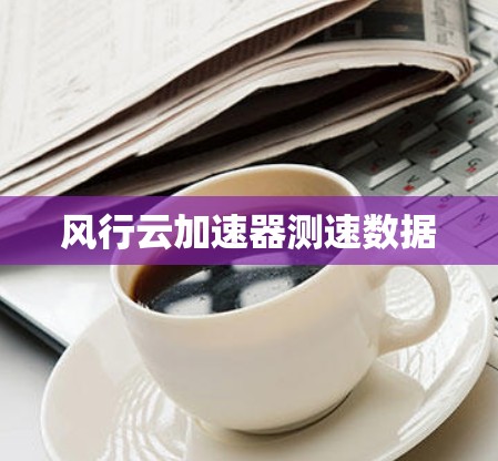 风行云加速器测速数据