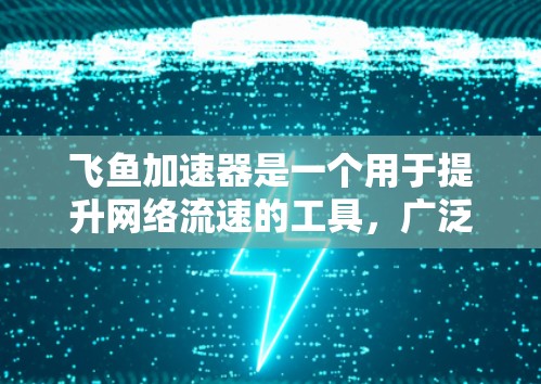 飞鱼加速器是一个用于提升网络流速的工具，广泛应用于视频、直播和流媒体等领域。以下是对飞鱼加速器外网访问情况的详细分析