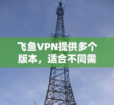 飞鱼VPN提供多个版本，适合不同需求的用户选择。以下是下载飞鱼VPN的步骤和推荐下载版本