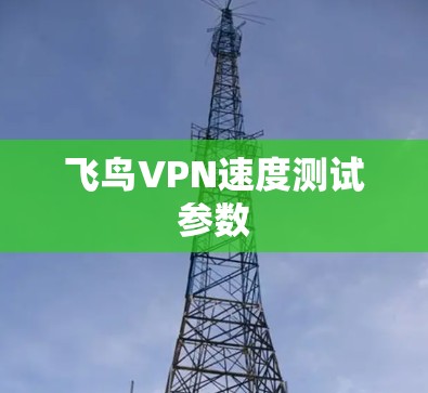 飞鸟VPN速度测试参数