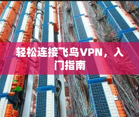 轻松连接飞鸟VPN，入门指南