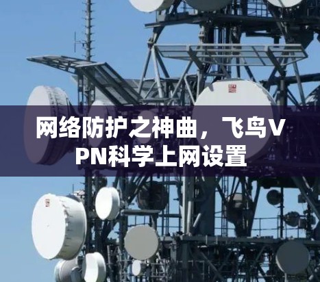 网络防护之神曲，飞鸟VPN科学上网设置