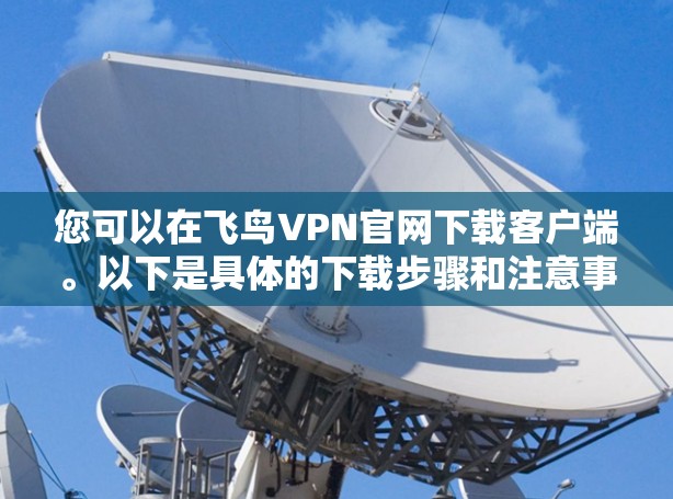 您可以在飞鸟VPN官网下载客户端。以下是具体的下载步骤和注意事项