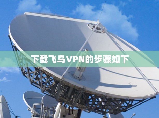 下载飞鸟VPN的步骤如下