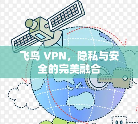 飞鸟 VPN，隐私与安全的完美融合