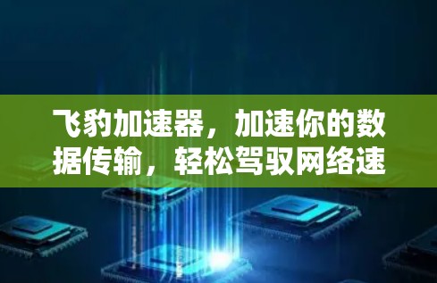 飞豹加速器，加速你的数据传输，轻松驾驭网络速度