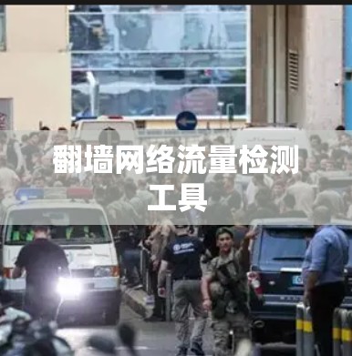 翻墙网络流量检测工具