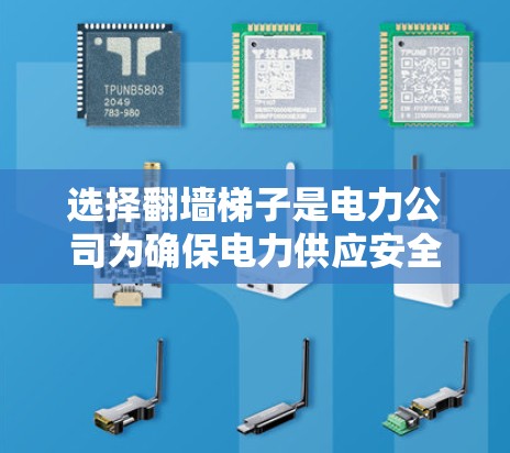 选择翻墙梯子是电力公司为确保电力供应安全而开发的一种技术，以下是详细的步骤和建议