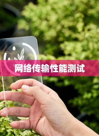网络传输性能测试
