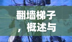 翻墙梯子，概述与评测