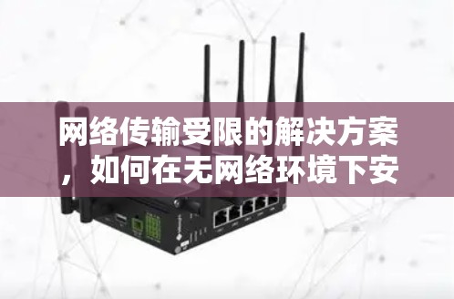 网络传输受限的解决方案，如何在无网络环境下安全访问