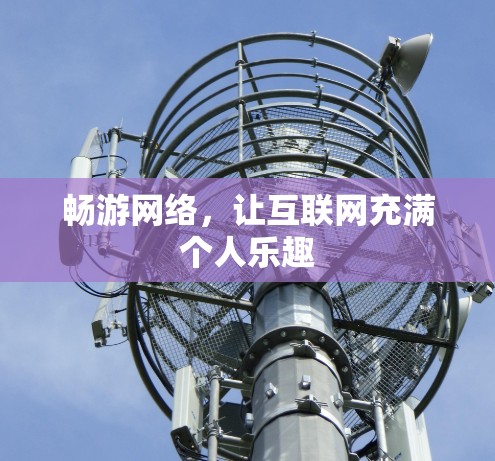 畅游网络，让互联网充满个人乐趣