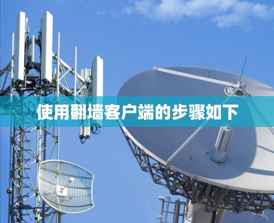 使用翻墙客户端的步骤如下