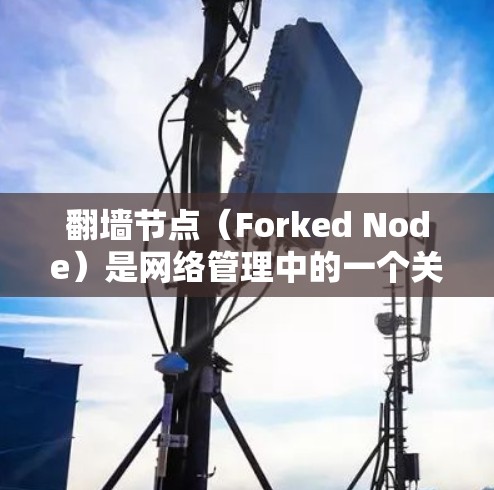 翻墙节点（Forked Node）是网络管理中的一个关键部分，负责将网络流量分为内网和外网。翻墙节点的评测通常是指对这些节点的性能、安全性和应用体验的评估。以下是一些常见的翻墙节点评测内容