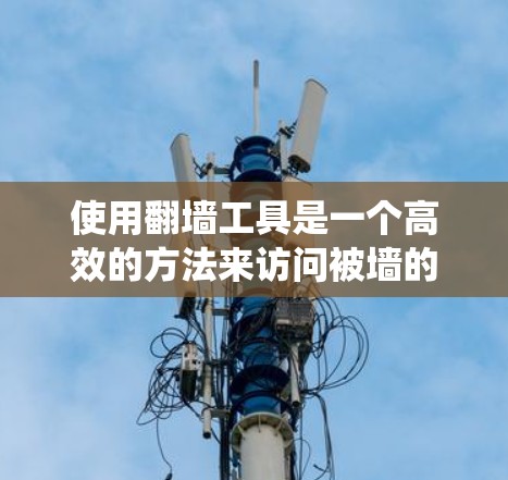 使用翻墙工具是一个高效的方法来访问被墙的网站，但需要系统性的学习和操作。以下是一个详细且清晰的步骤指南，帮助你更好地使用翻墙工具