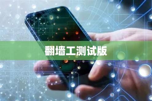 翻墙工测试版