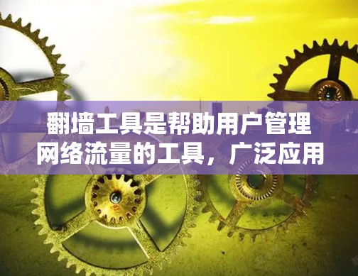 翻墙工具是帮助用户管理网络流量的工具，广泛应用于个人、企业以及商业环境。以下是对一些主要的翻墙工具的口碑评价，供参考