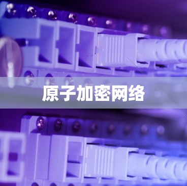 原子加密网络