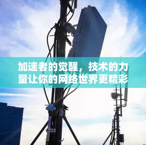 加速者的觉醒，技术的力量让你的网络世界更精彩
