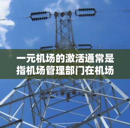 一元机场的激活通常是指机场管理部门在机场开放前进行的一系列准备工作，以确保机场的正常运行和游客的安全。以下是一元机场激活的主要步骤和内容