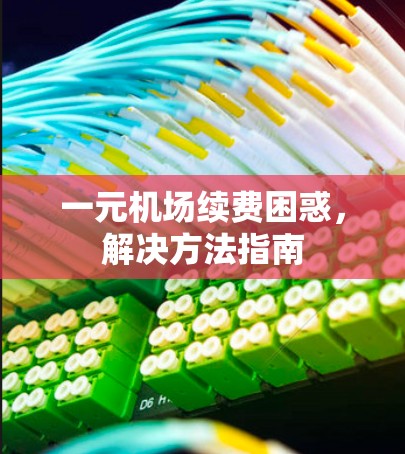 一元机场续费困惑，解决方法指南
