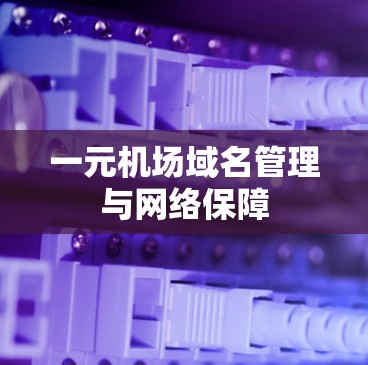 一元机场域名管理与网络保障